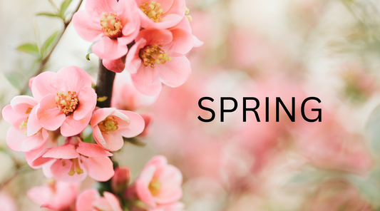 🌸 April Newsletter | UMBEREDco – Light in Every Season 🌸