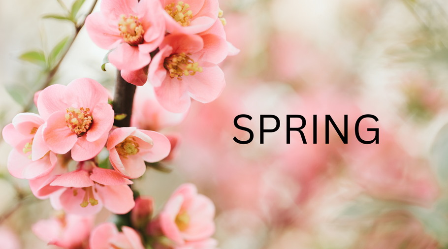 🌸 April Newsletter | UMBEREDco – Light in Every Season 🌸
