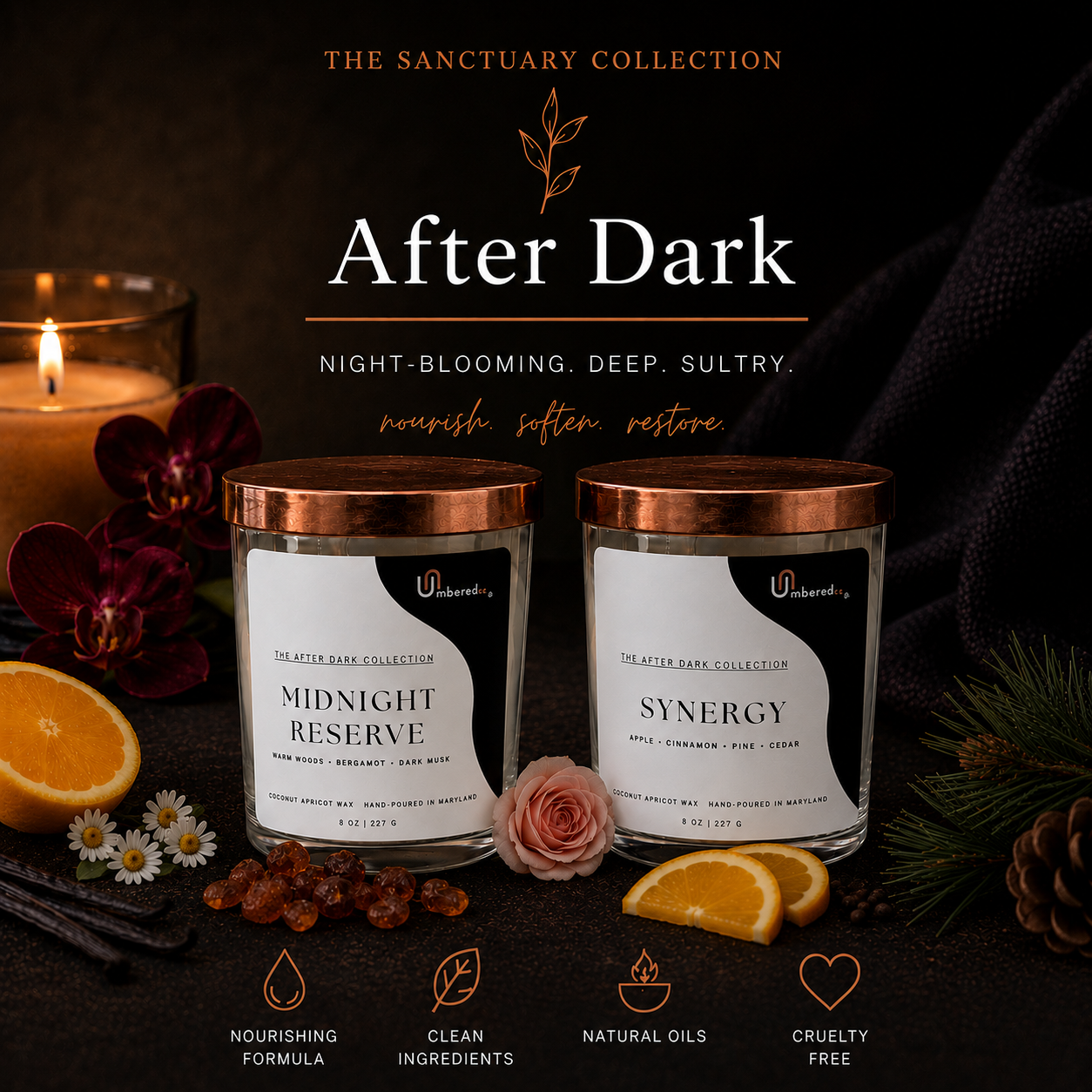 The After Dark Collection