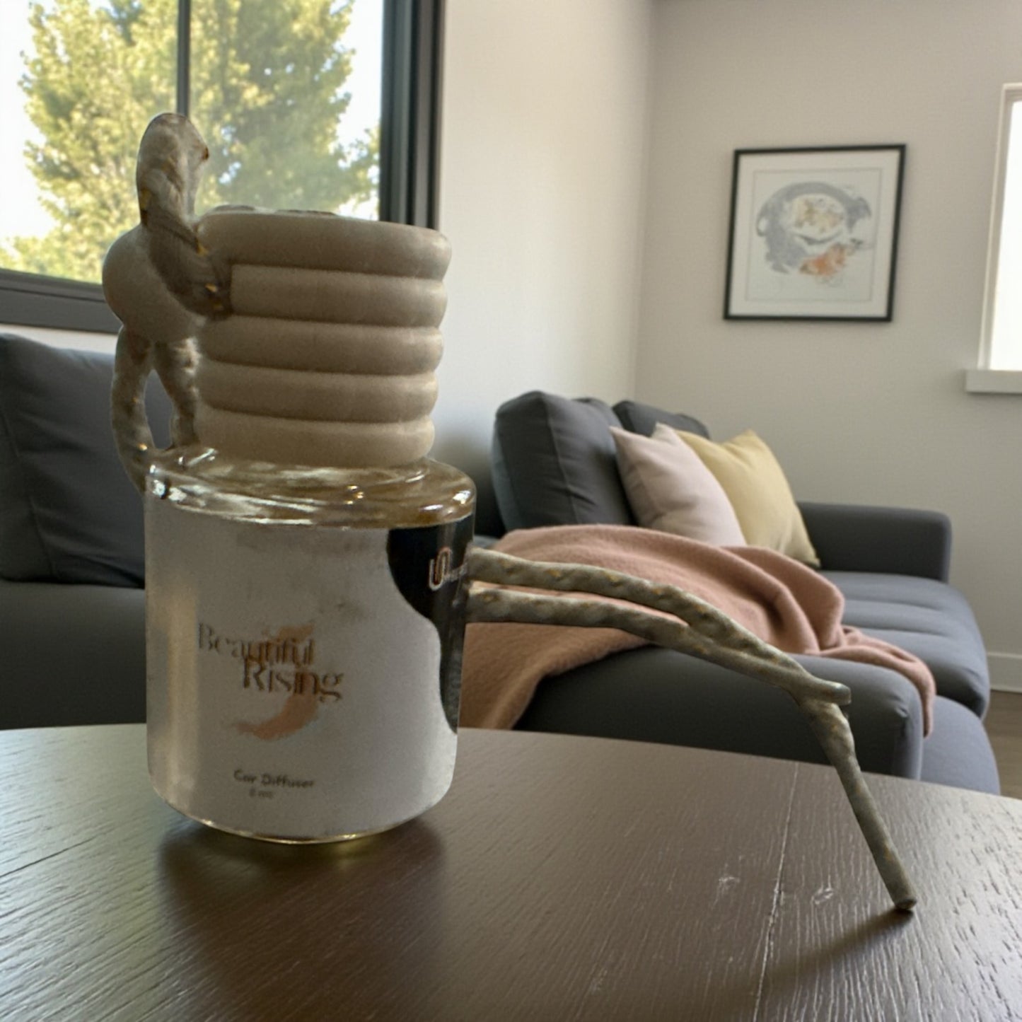 Hanging Car Diffuser