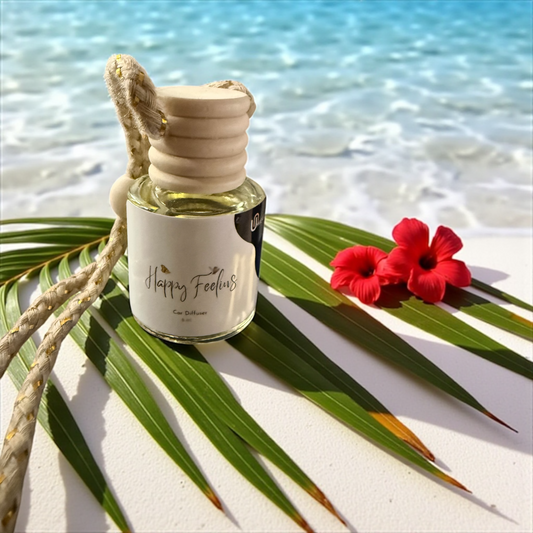 Hanging Car Diffuser